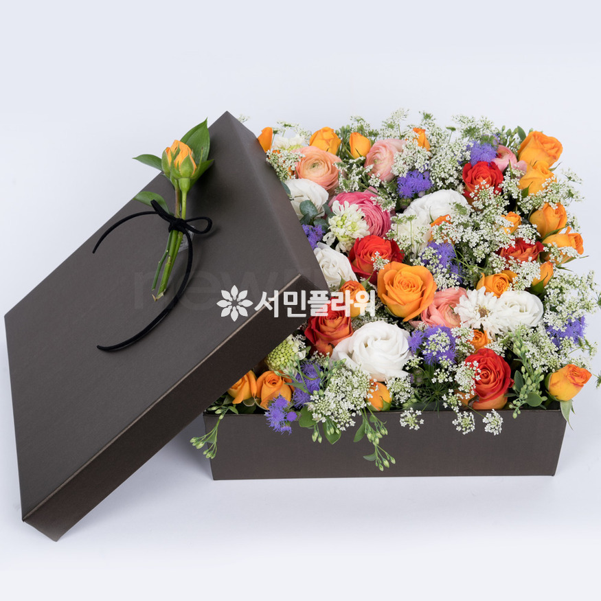 상세이미지