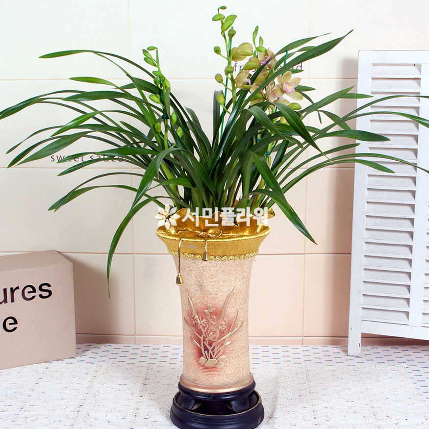 상세이미지