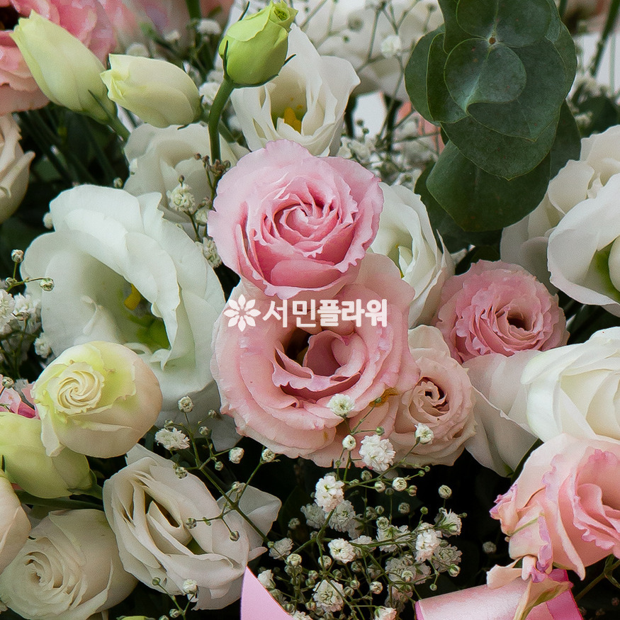 상세이미지