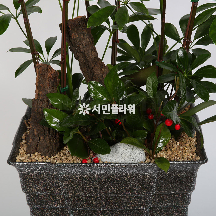 상세이미지