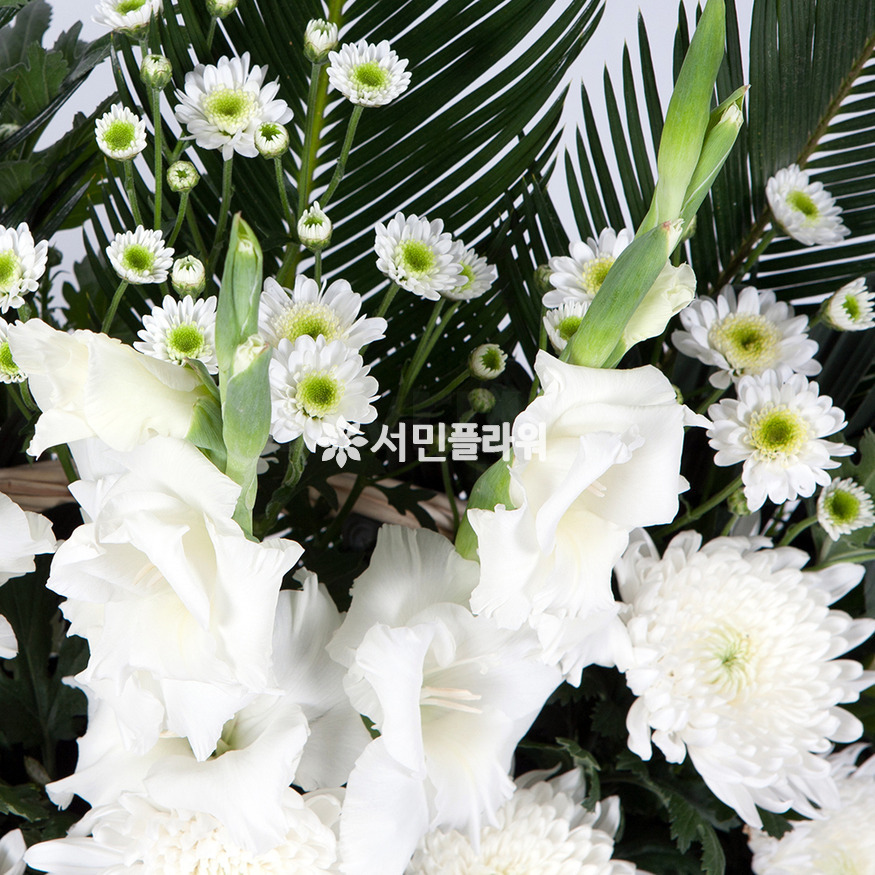 상세이미지