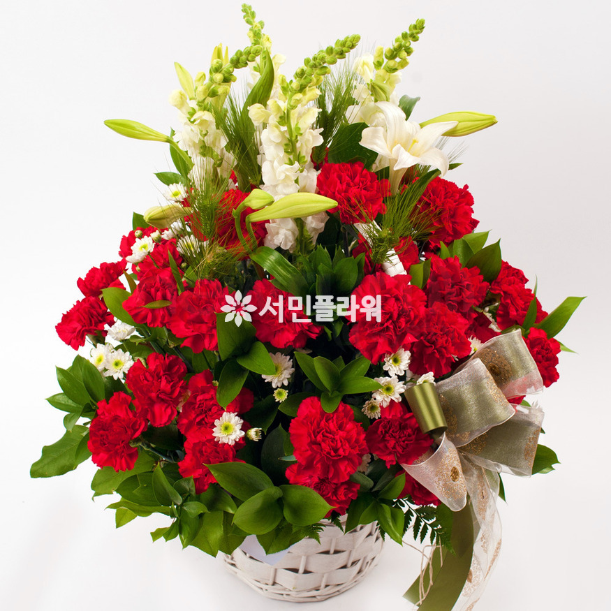 상세이미지