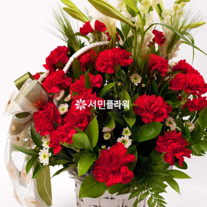 상세이미지