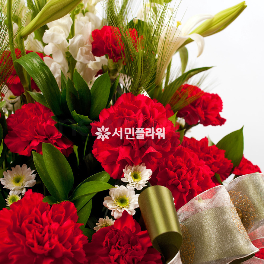 상세이미지
