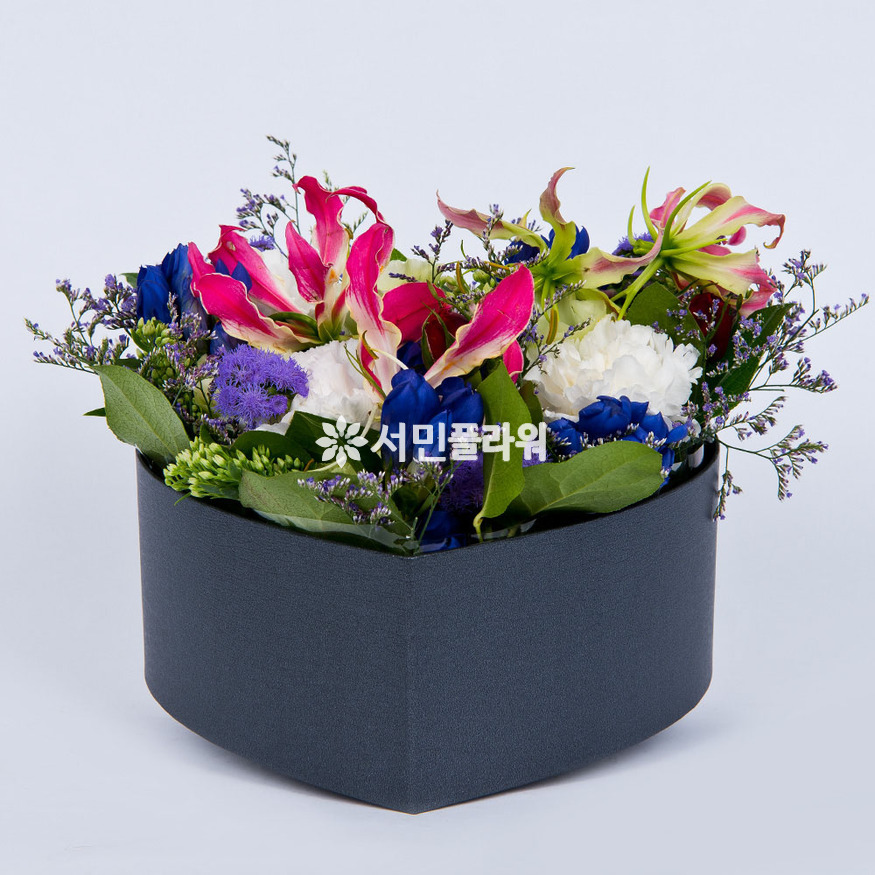 상세이미지