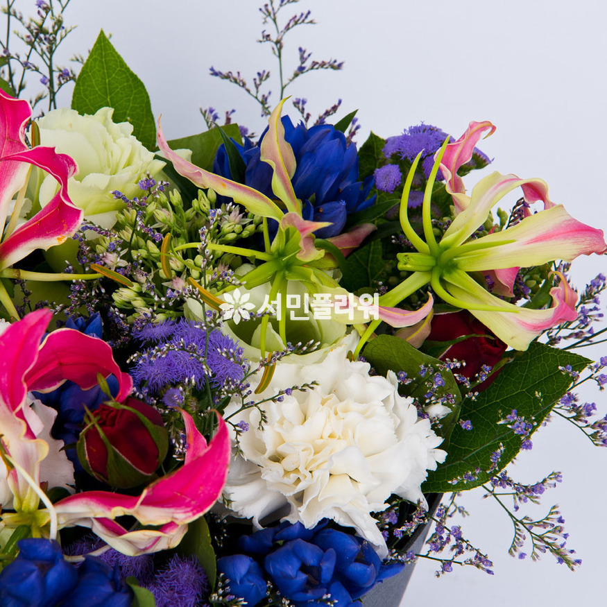 상세이미지