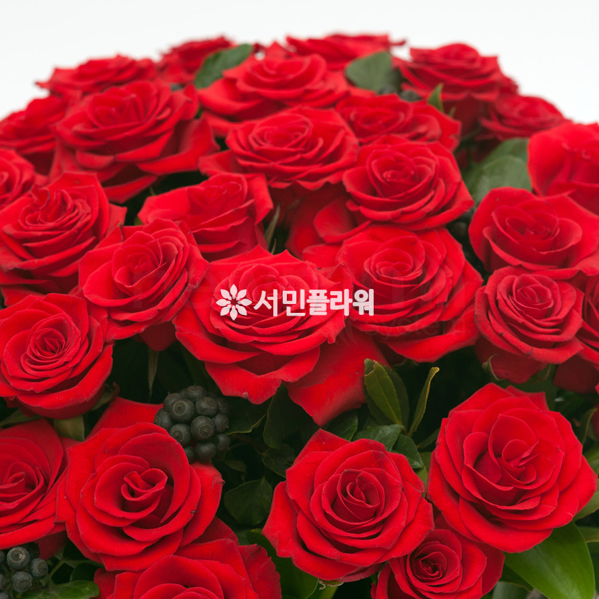 상세이미지