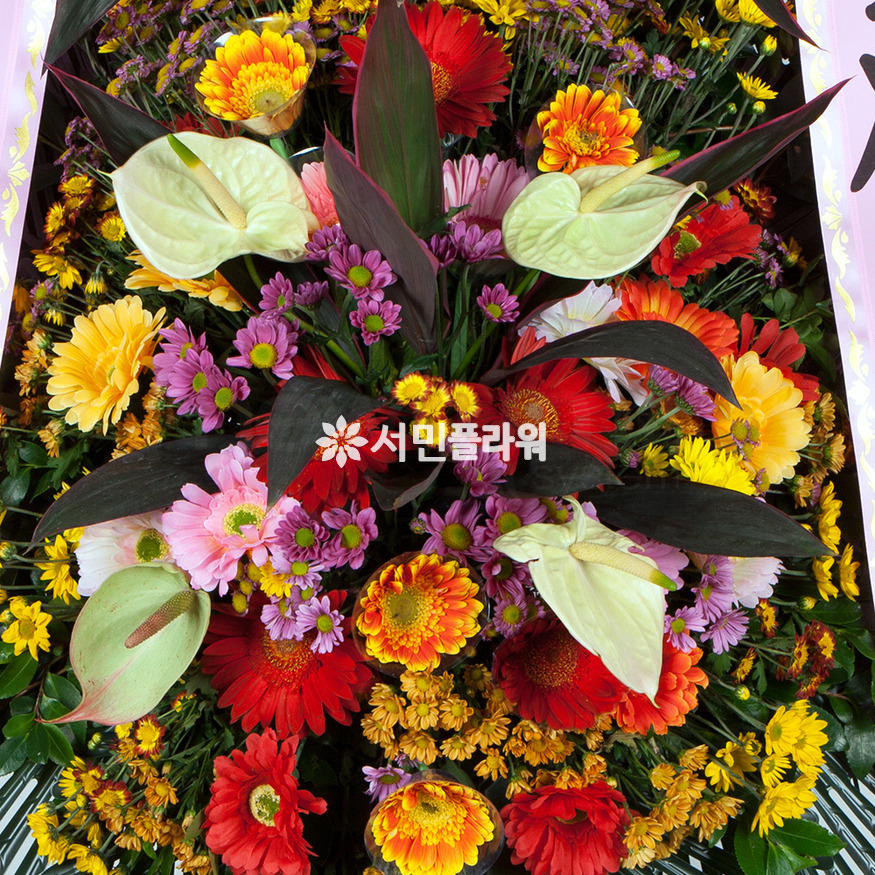 상세이미지