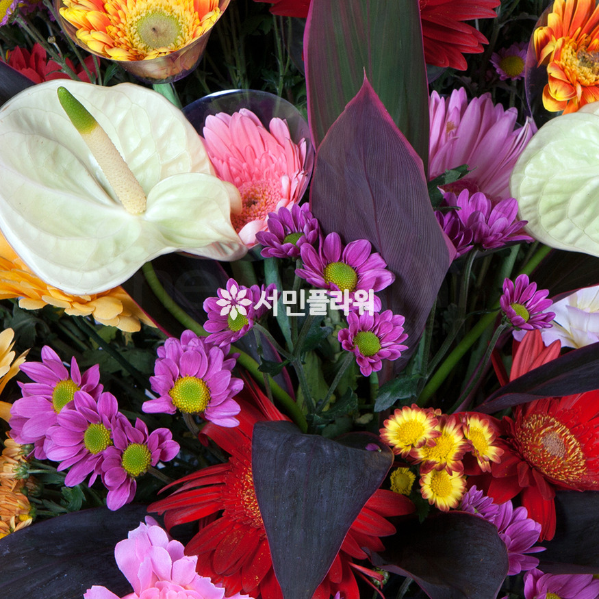 상세이미지