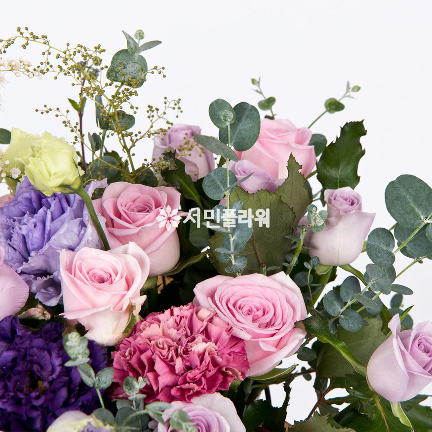 상세이미지