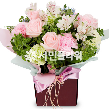 박스디자인
