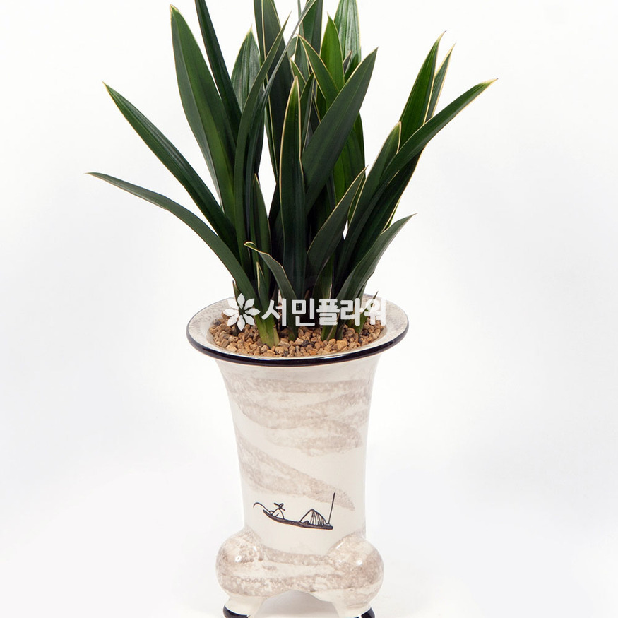 상세이미지