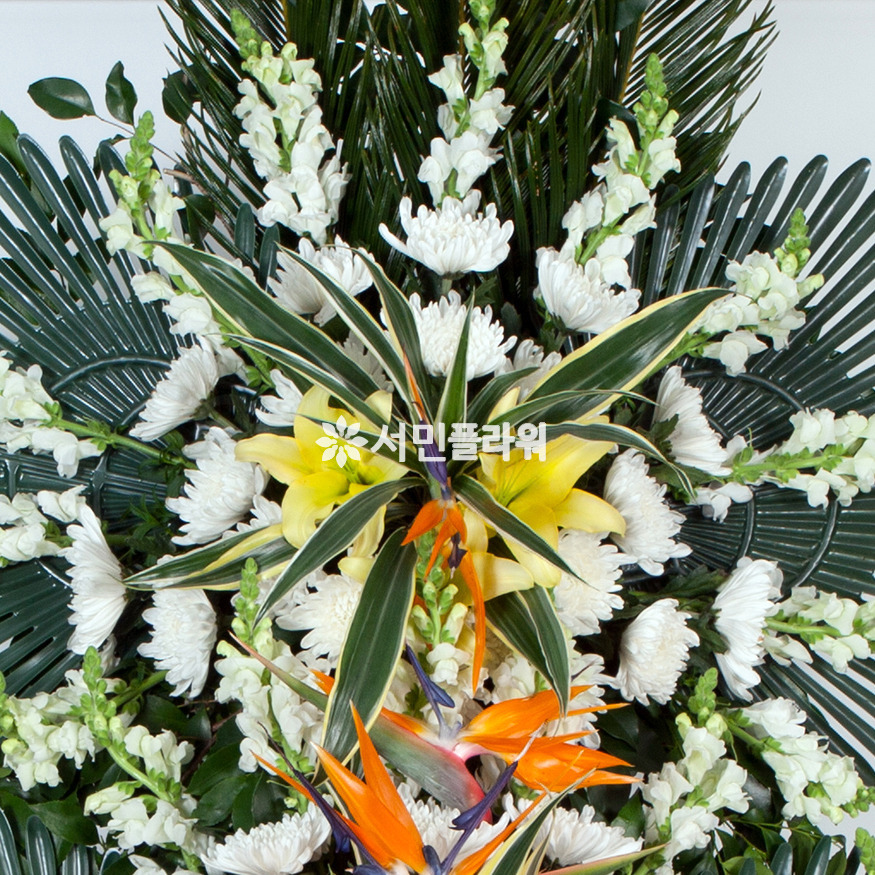 상세이미지