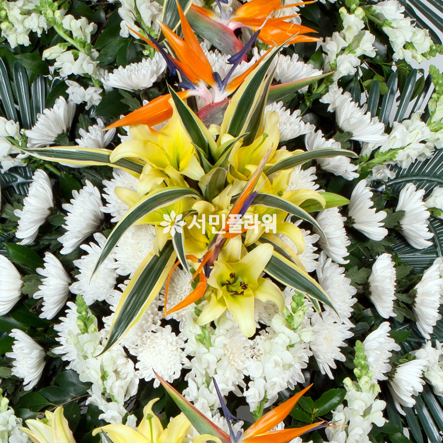 상세이미지