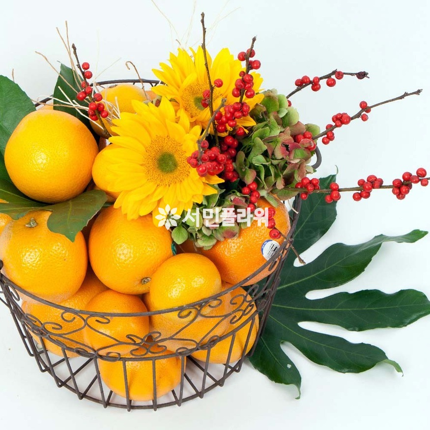 상세이미지