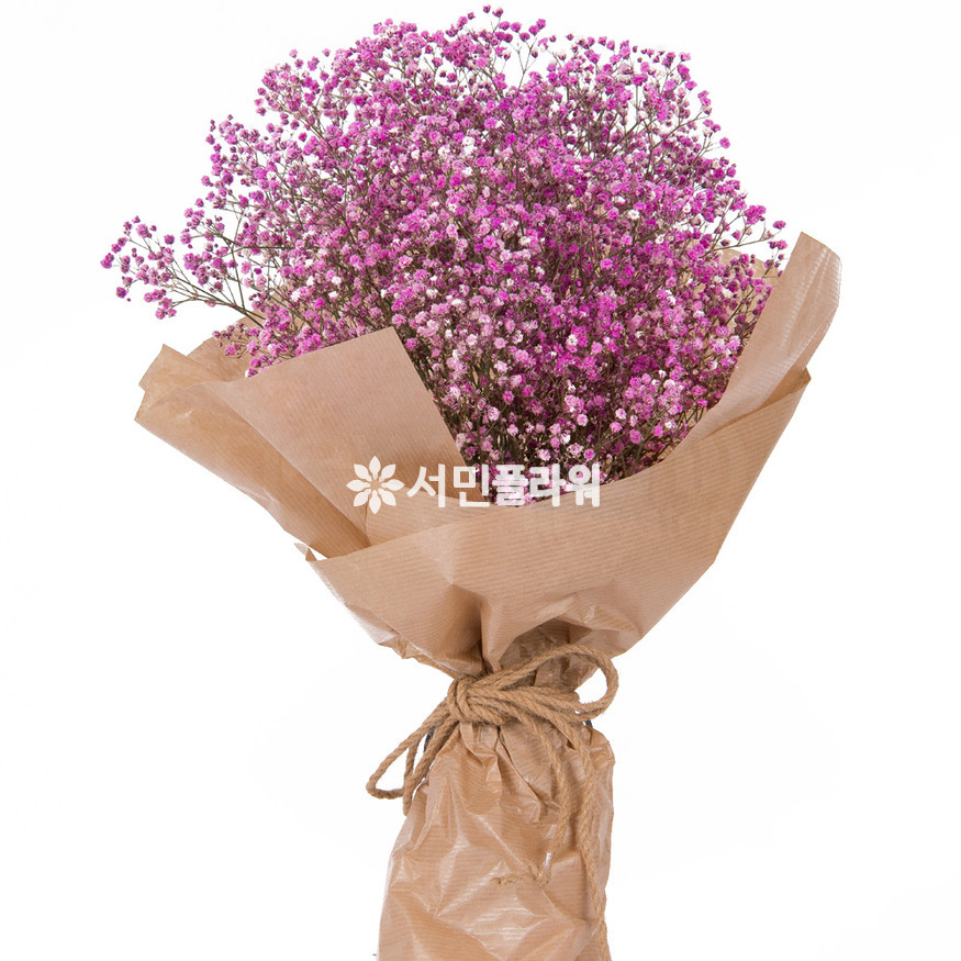 상세이미지