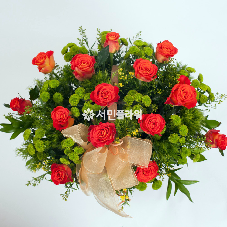 상세이미지
