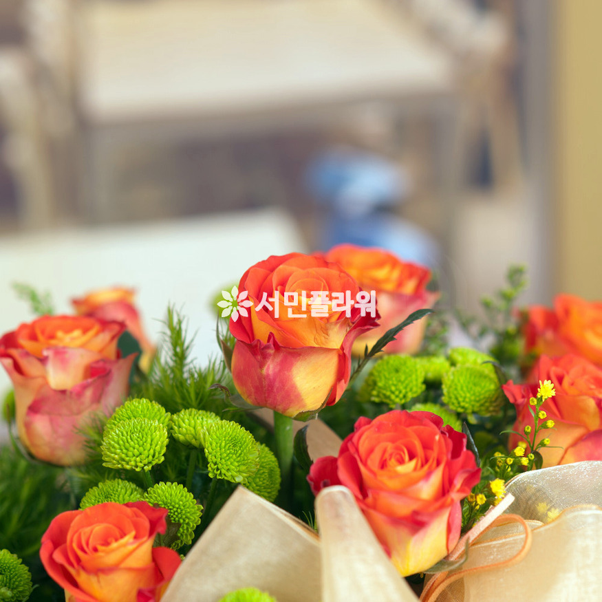 상세이미지
