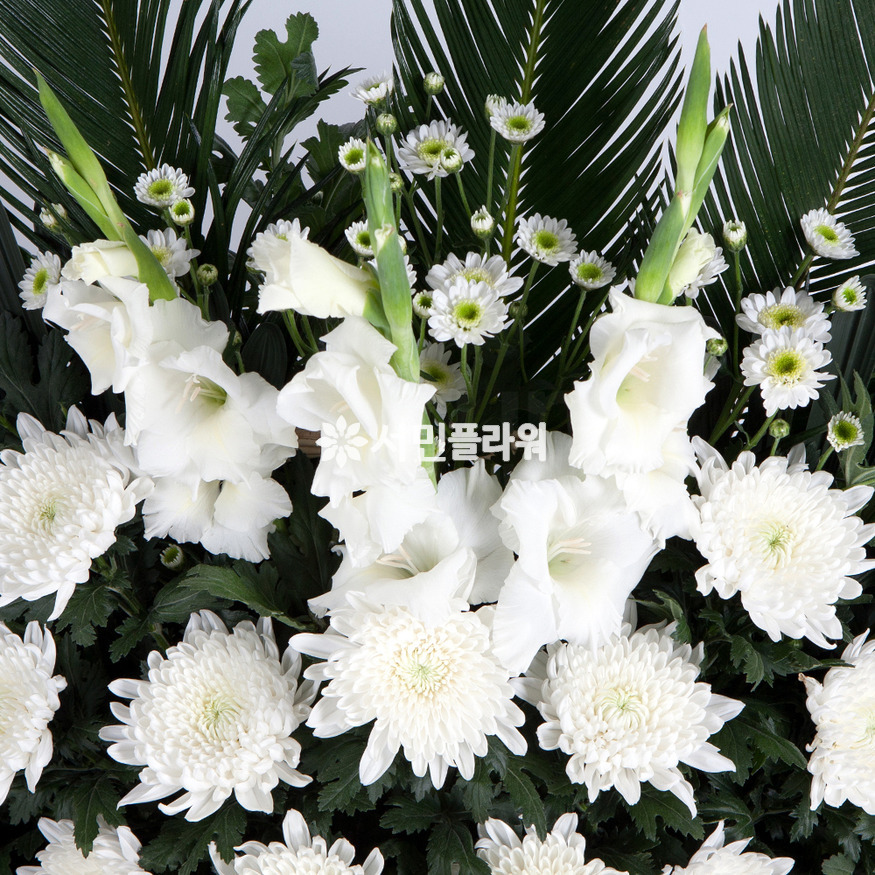 상세이미지
