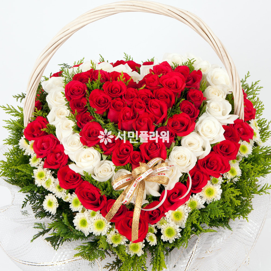 상세이미지