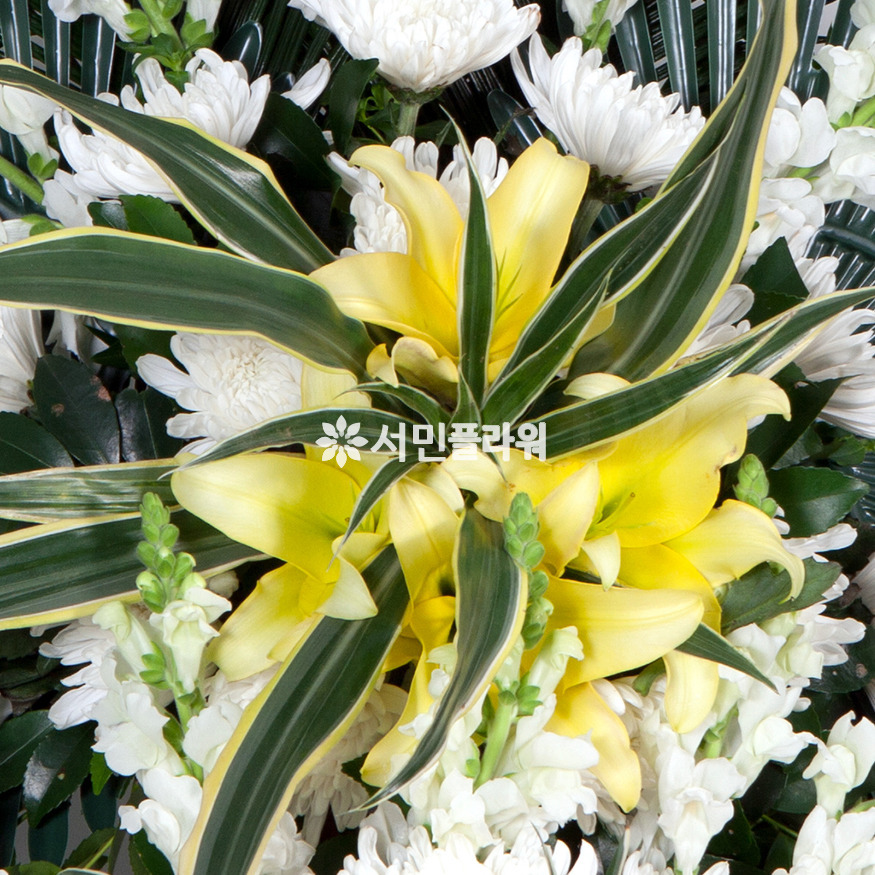 상세이미지