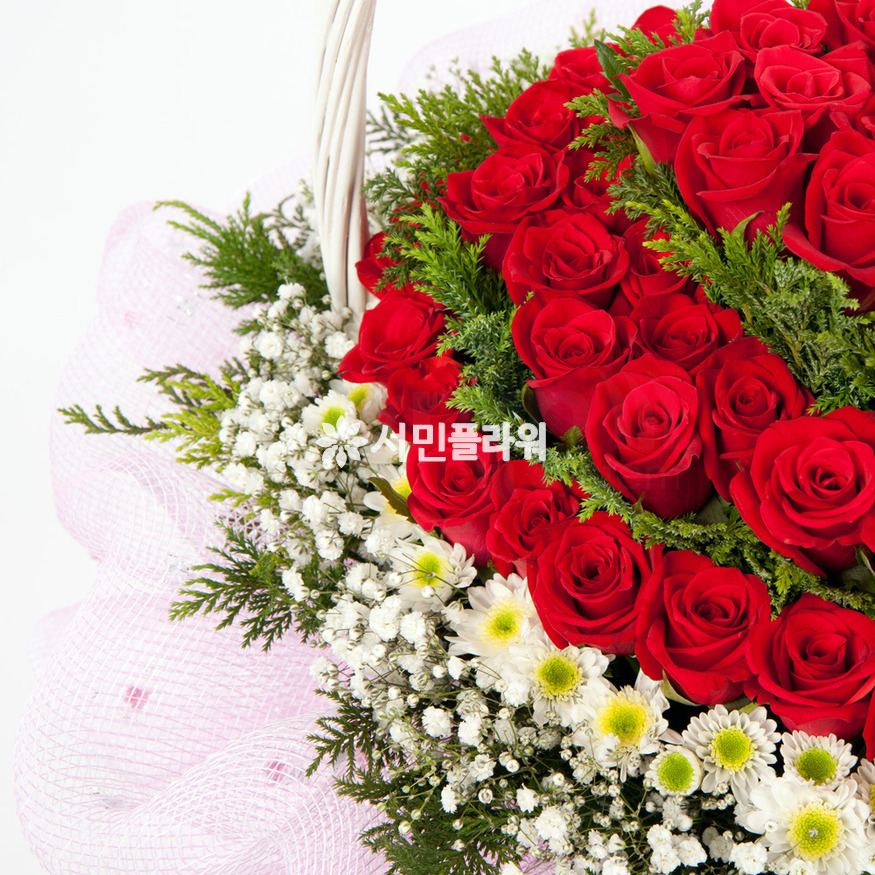 상세이미지