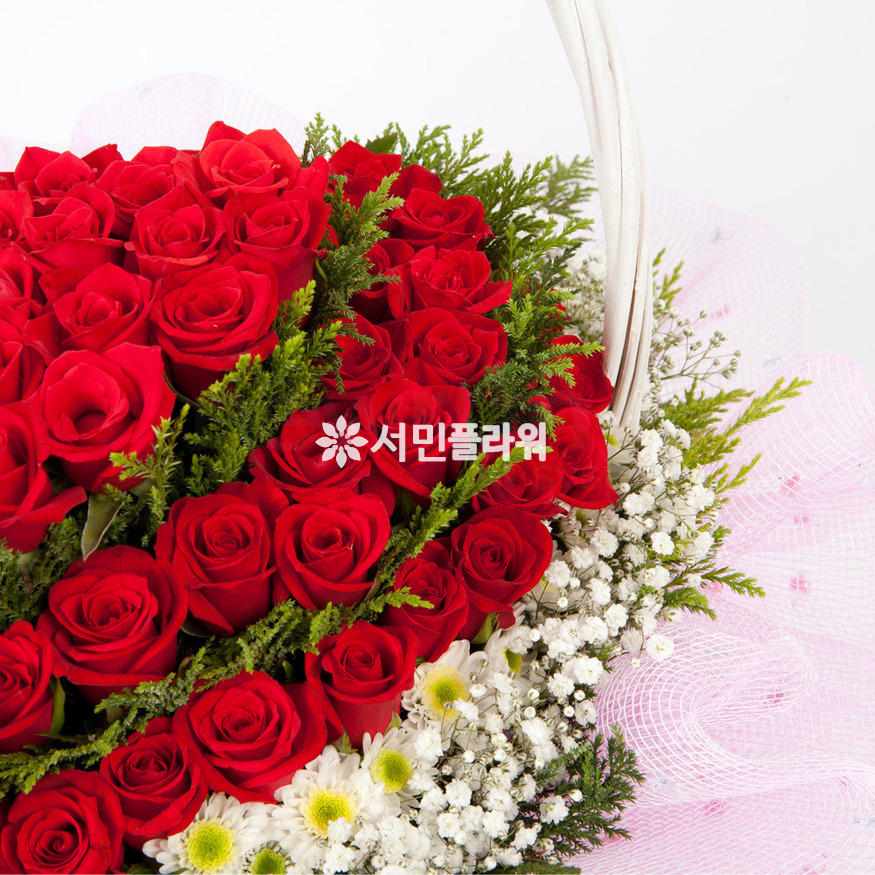 상세이미지