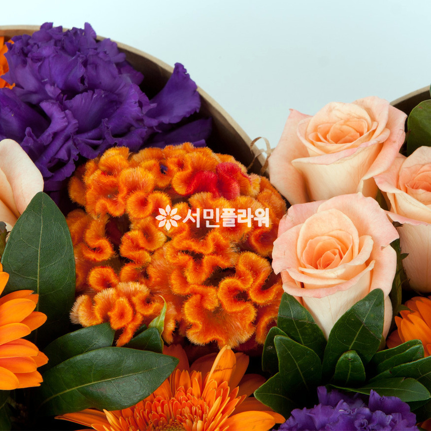 상세이미지