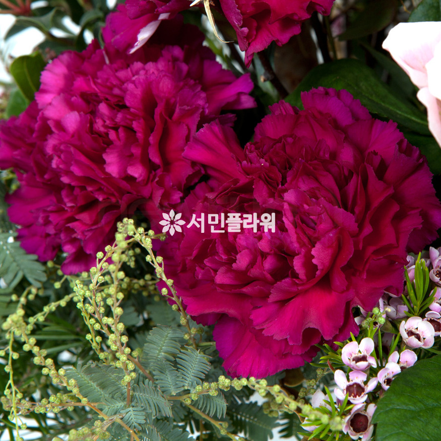 상세이미지