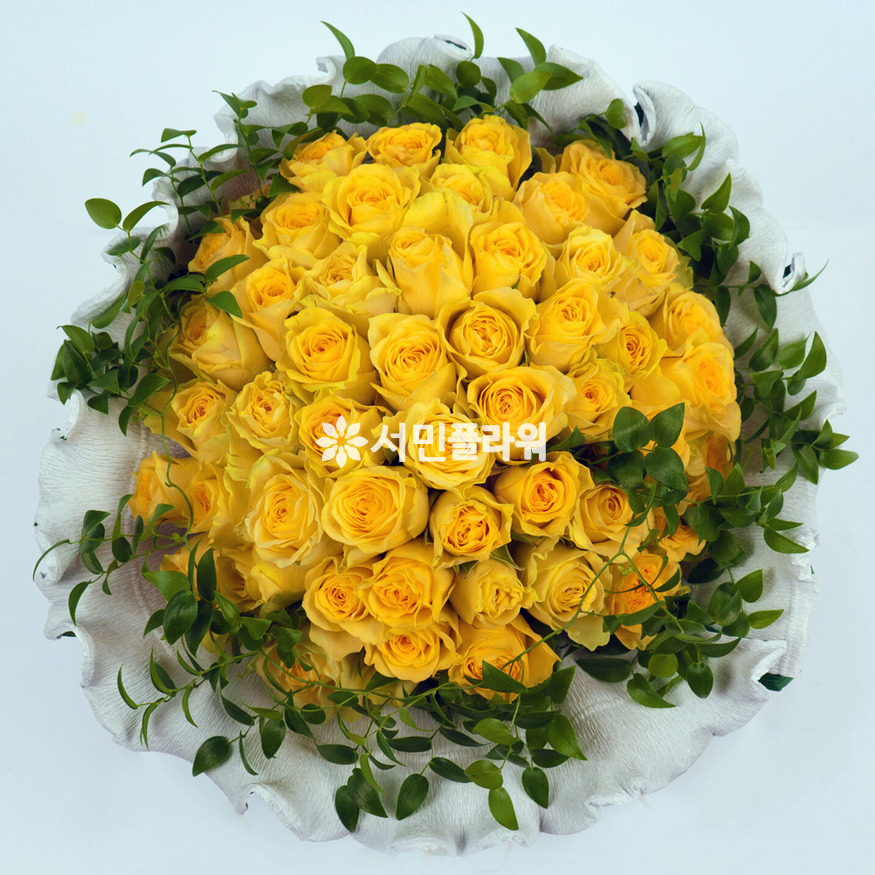 상세이미지