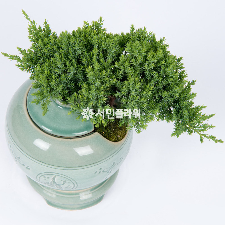 상세이미지