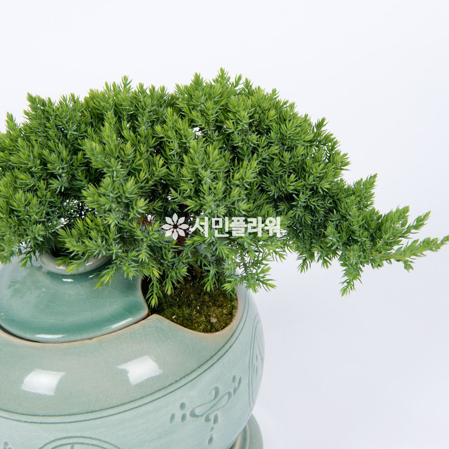 상세이미지