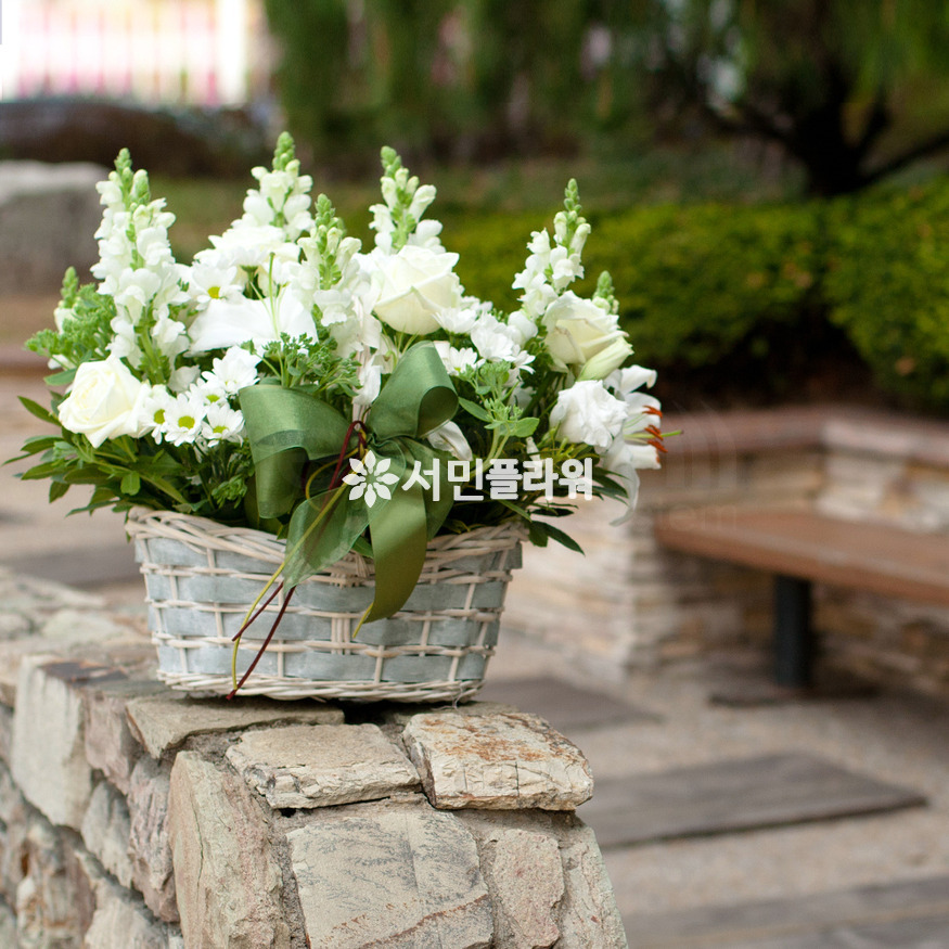 상세이미지