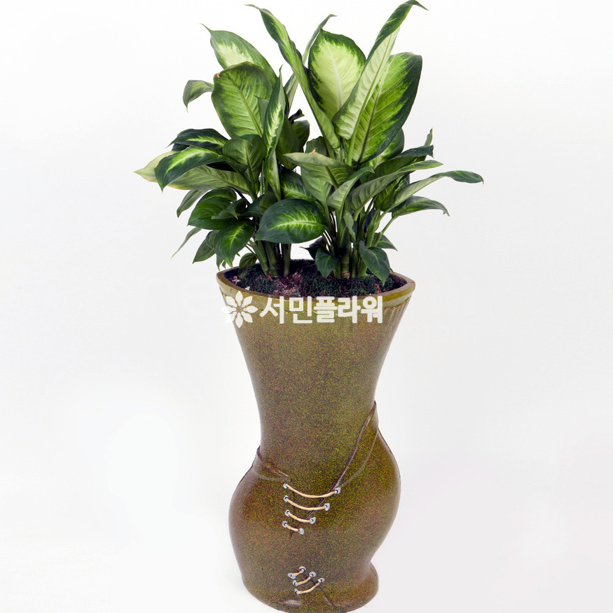 상세이미지