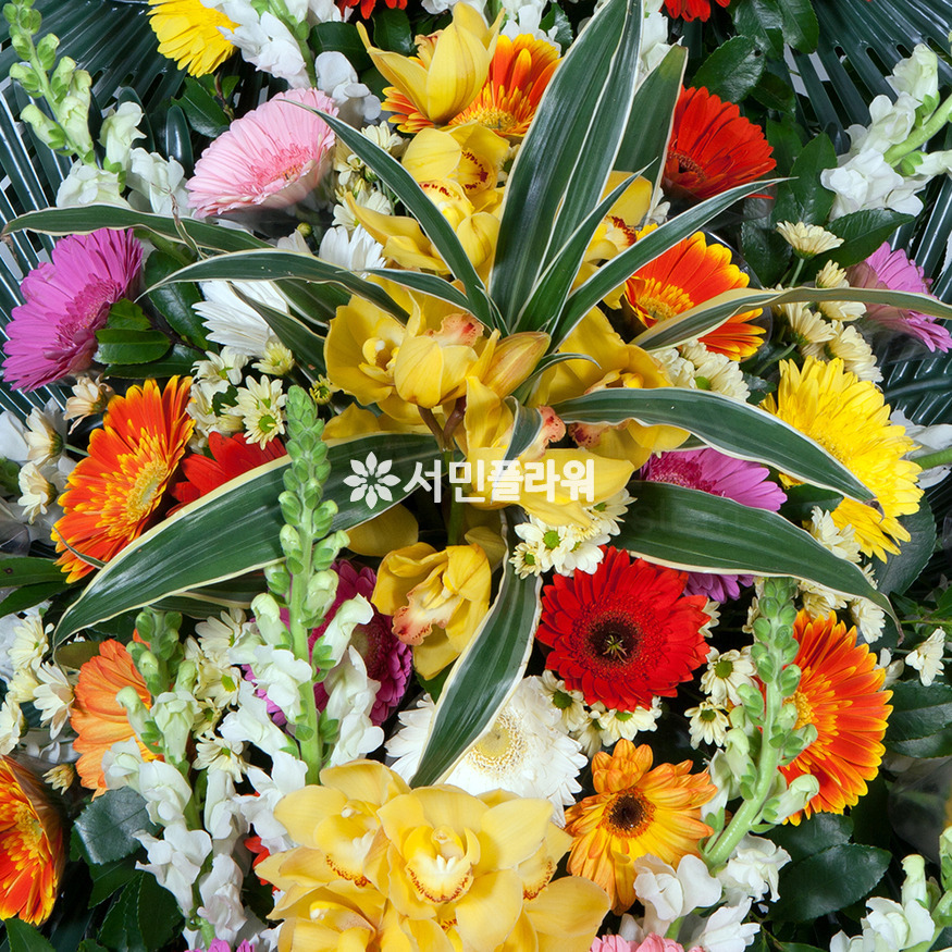상세이미지