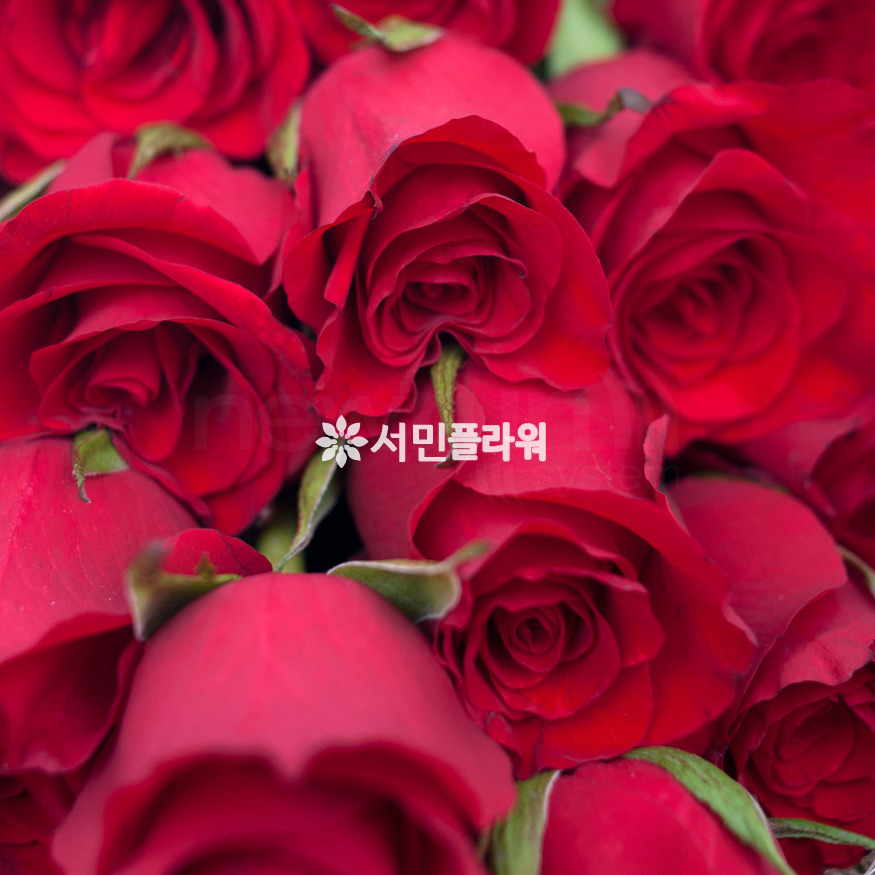 상세이미지