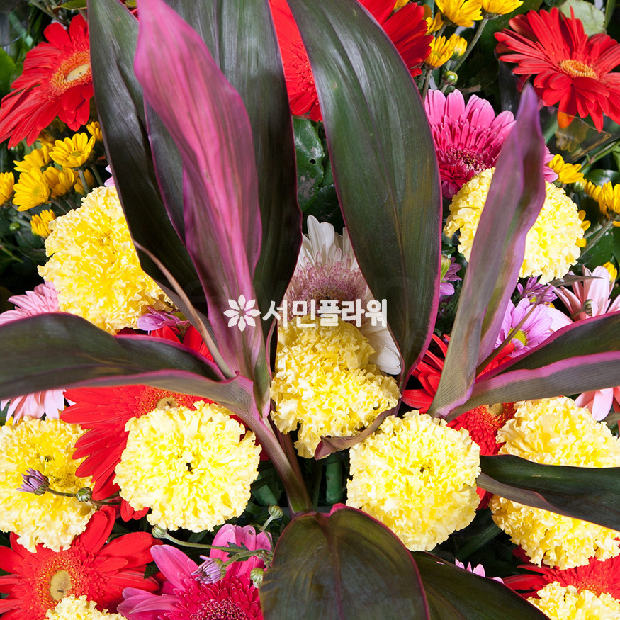 상세이미지