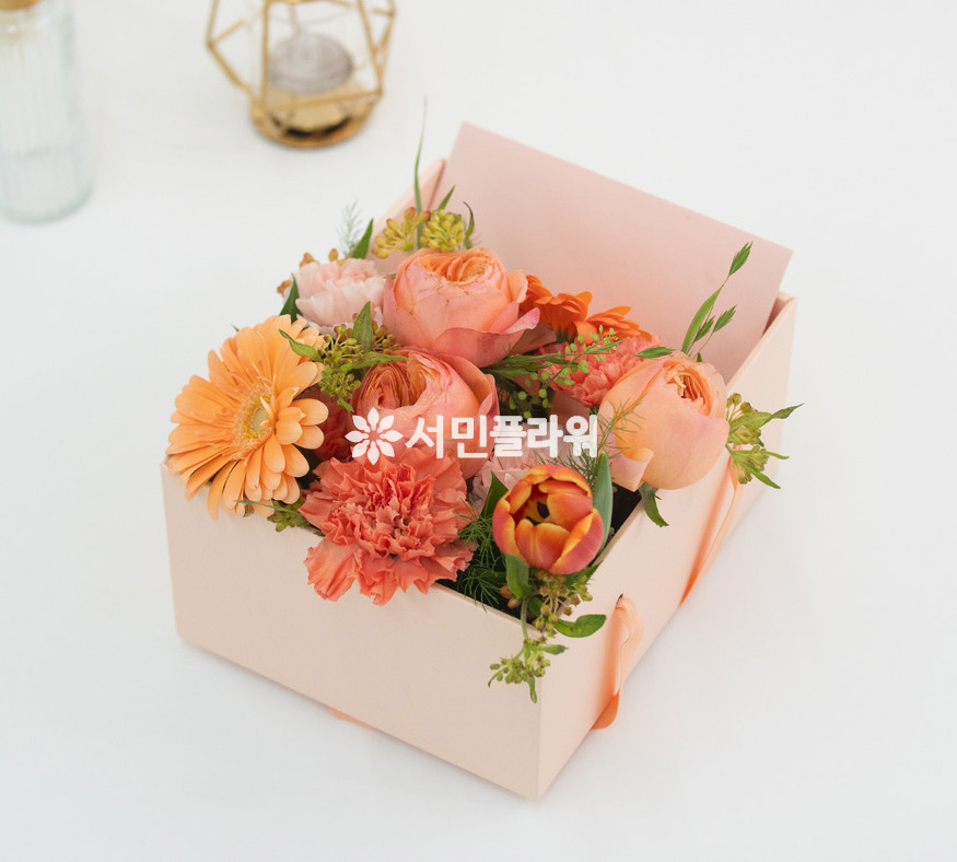 상세이미지