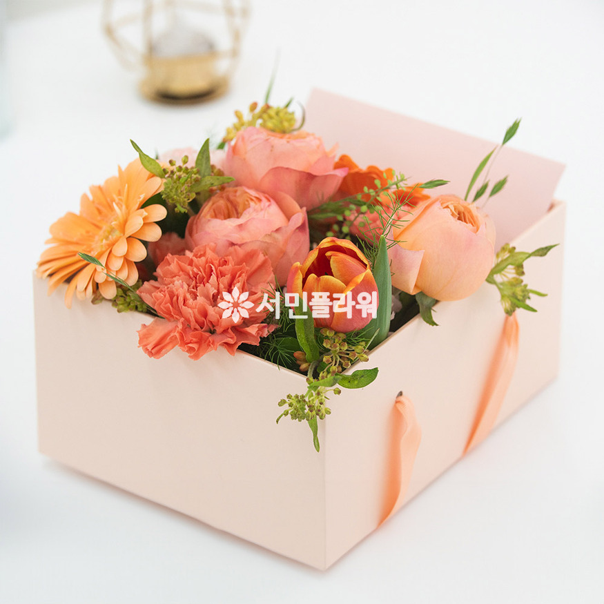 상세이미지