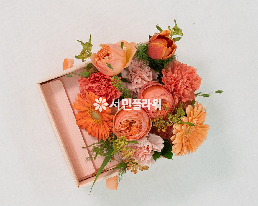 상세이미지