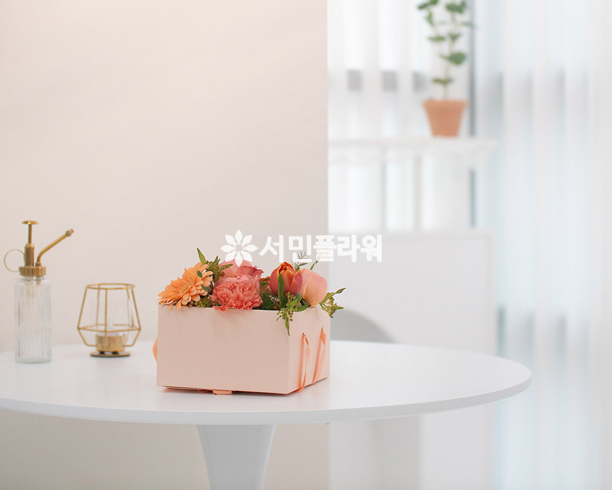 상세이미지