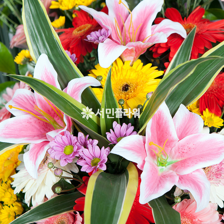 상세이미지