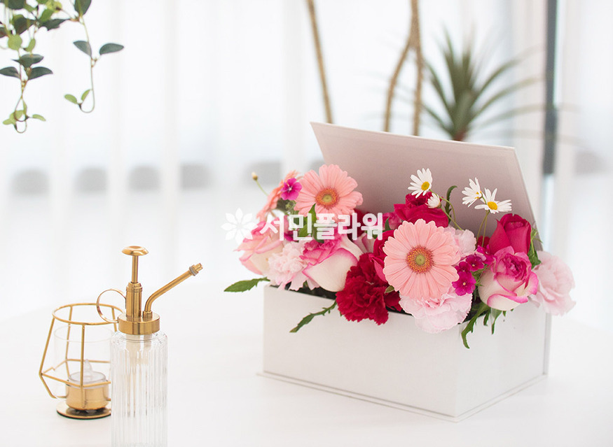 상세이미지