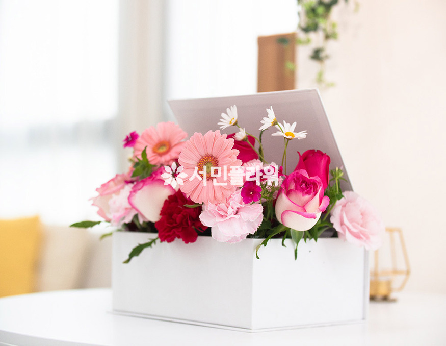상세이미지