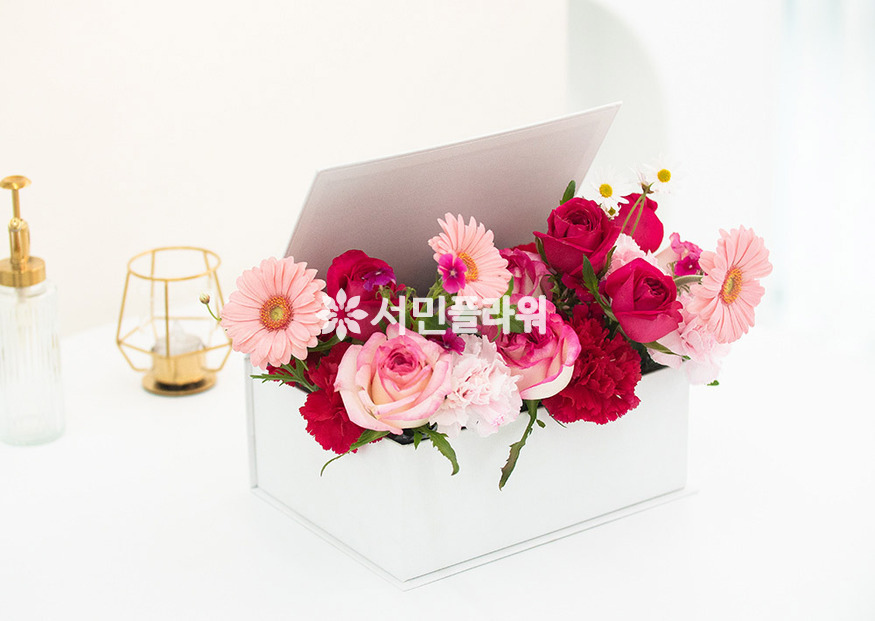 상세이미지