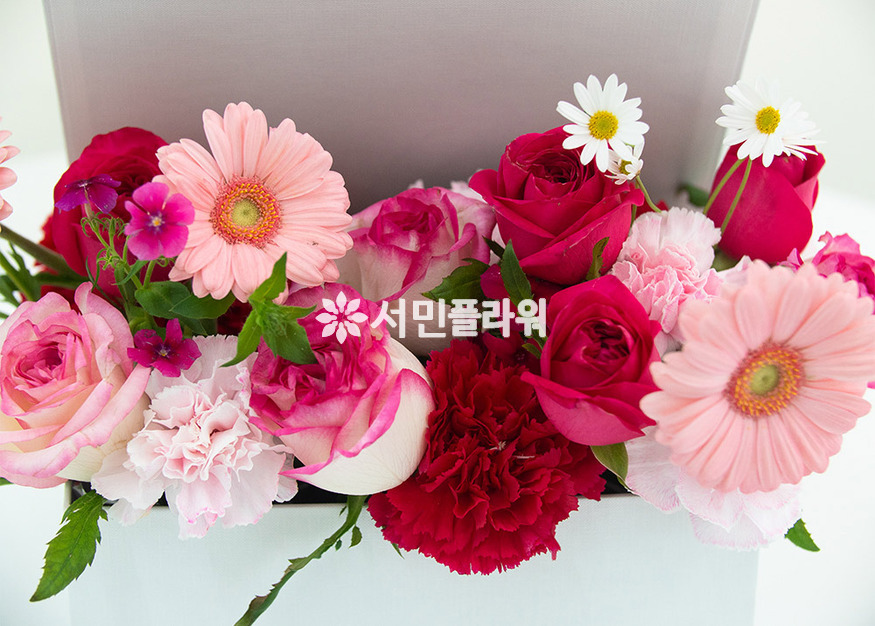 상세이미지