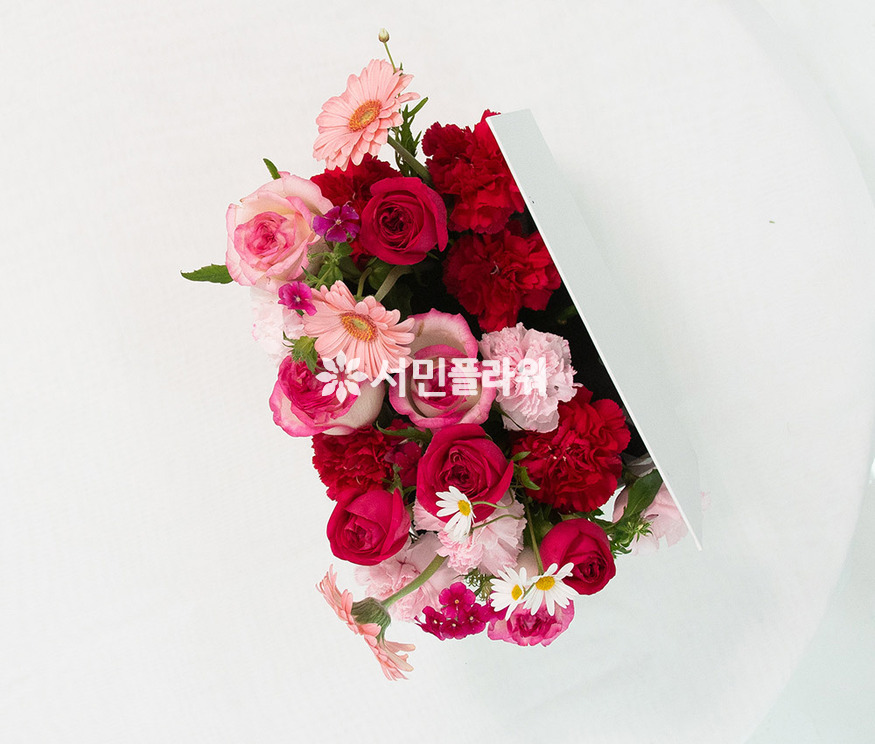 상세이미지
