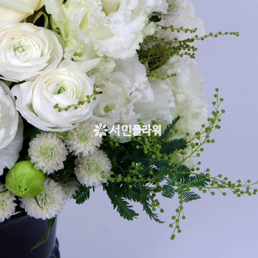 상세이미지