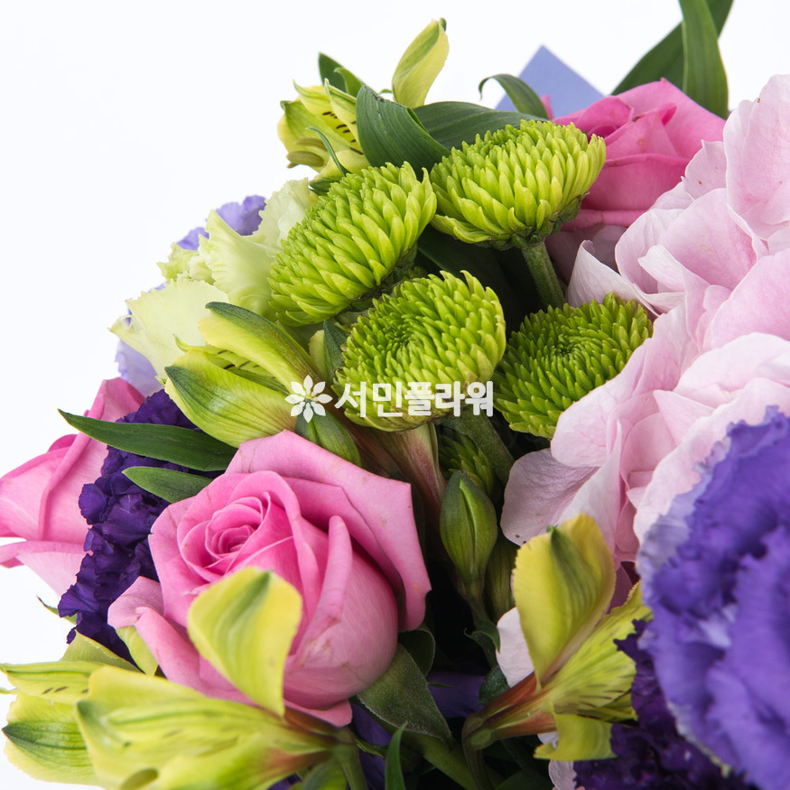 상세이미지