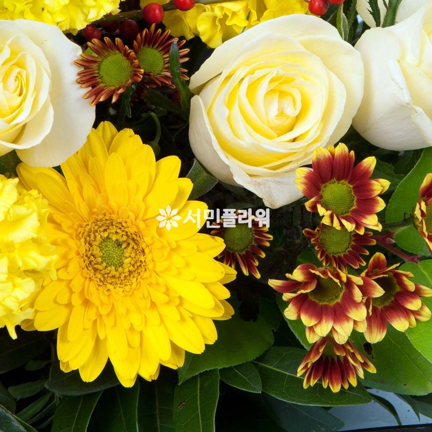 상세이미지